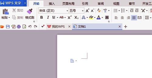 wps  系统里面怎么截图 wps怎么截图片