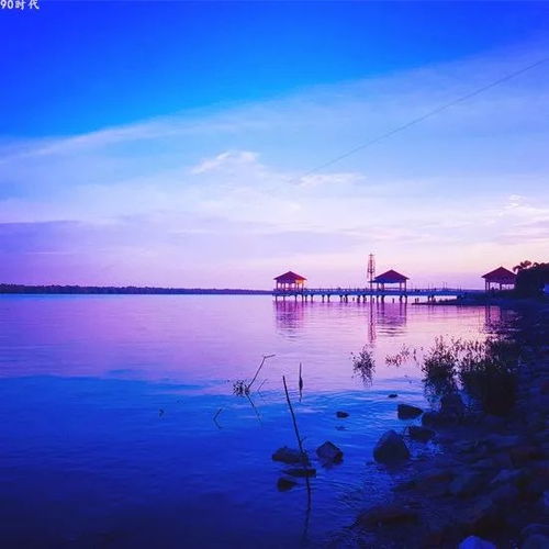 头像 风景花朵图片 漂亮的大自然风景,给与你好运 