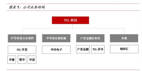 TCL集团这只股票怎么样？能涨多少？请高人指点一下！