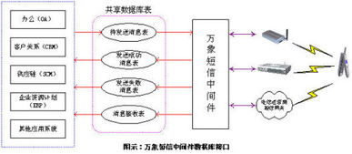 市面上有哪些数据库接头