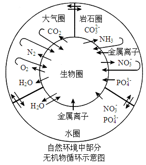 为什么26Fe的电子层机构的第三层没有排满？