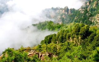 雾灵山门票,河北兴隆雾灵山门票多少钱-第3张图片