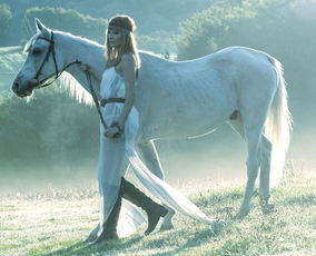 周公解梦梦见骑白马是什么意思