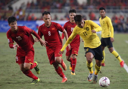 越南杯比赛直播,越南比赛世界杯直播