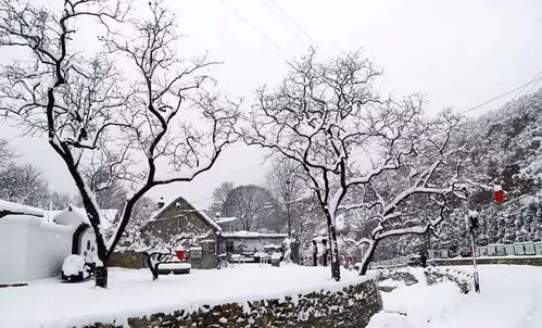 晒雪景有什么意思,玩起来才应景 