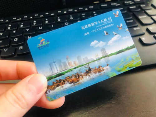 南京旅游年卡激活(南京旅游年卡兑换卡怎么激活)