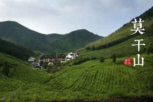 莫干山最全的旅游攻略,享受山中的安静生活(莫干山免费停车场)