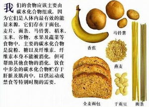 碳水化合物食物有哪些碳水化合物的作用 信息图文欣赏 信息村 K0w0m Com