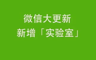 发泄室上海,标题建议：《上海发泄室：释放压力，寻找内心平静》-第1张图片