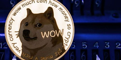 dogecoin价格今日行情,Dogecoi今天的价格变动情况