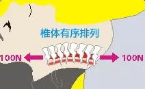 这种 上吊式 锻炼方式是颈椎牵引 搞不好会没命