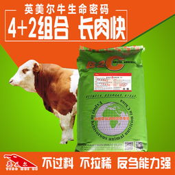 长肉最快的牛饲料喂牛饲料怎么搭配好