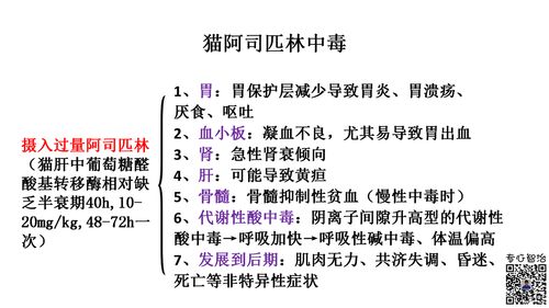 深度入侵1V3阿司匹林小说最新章节免费阅读 / 深度入侵1V3阿司匹林6章 、情和命,过度反应by阿司匹林全文免费阅读笔趣阁