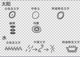 请问表音文字和表意文字有何区别 