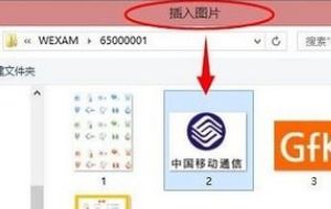 如何在ppt制作时,在插入的图片上添加方框以示重点 