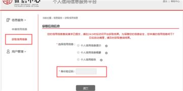 征信中心个人信用查询全攻略 详版