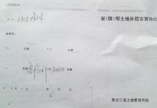 公司在银行开一般户经办人承担什么责任