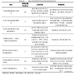 厦门金砖作文450字