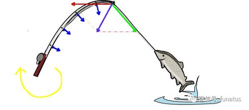 简单来说一下鱼杆的感度