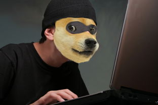 doge狗狗币钱包,doge狗狗币