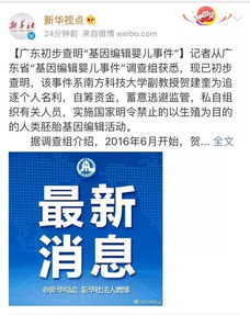 新华社公布基因编辑婴儿事件调查结果