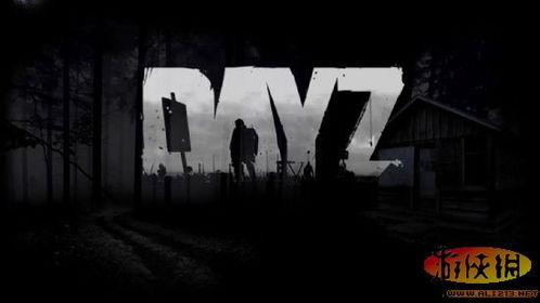 武装突袭2dayz下载,武装突袭2：DayZ下载指南，让你畅玩生存游戏！