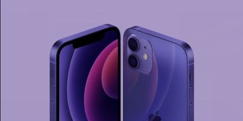 iPhone12 mini紫色版怎么样 iPhone12 mini紫色版参数配置 机身尺寸及内存容量版本分享 非凡软件站 