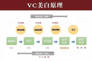 一分钟看懂你的美白产品 美白有效成分大解析