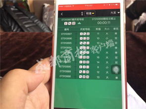 QQ彩票下载APP，探索未知的送彩金福利”