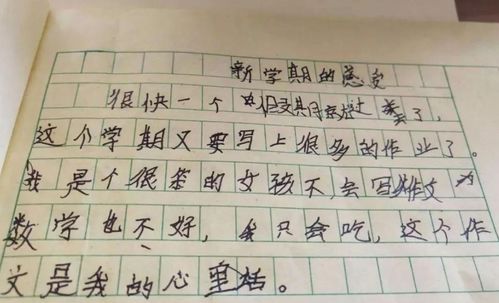 小学生作文 天命不可违 ,构思巧妙至极,网友调侃 拜你为师