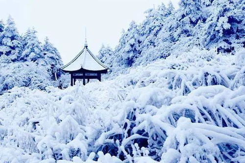 雪冷知识