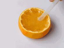 福利丨吸着吃的 果冻橙 ,维C那么多,还可以徒手榨汁