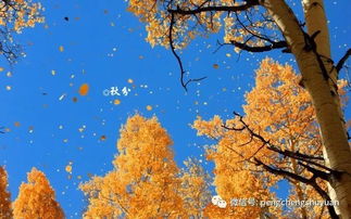 9月23日秋分到来 彭城书院为您提供秋分节气文化常识