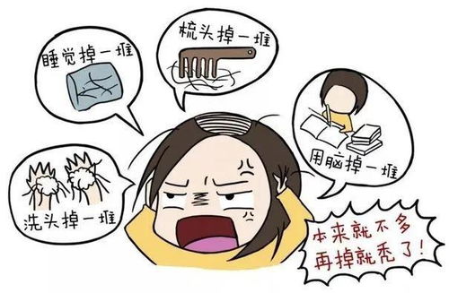 是你吗秃头仙女宝贝 快进来