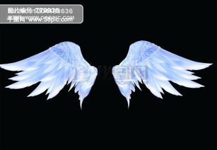 天使翅膀模板免费下载 psd格式 5691像素 编号779936 千图网 