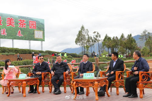 鎮(zhèn)巴品牌策劃公司哪家好(鎮(zhèn)巴品牌策劃公司哪家好一點(diǎn))