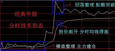 请问:我在买,卖股票的时候怎样才能以第一时间成交?因为在大盘急跌或急涨的时候,我来不及买卖股票.