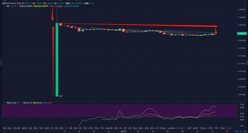 apn币最新情况