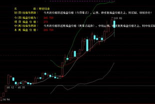 寒锐钴业股票能涨多少