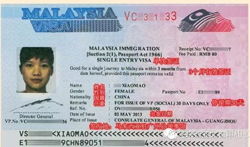马来西亚旅游签,