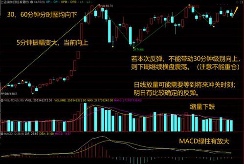 前十名的加密货币基金,重仓数字货币概念的基金有哪些