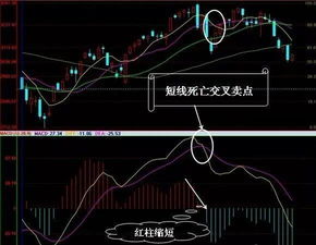 为什么有的股票MACD的DIF顶背离后回调完还继续上涨？