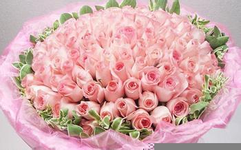 粉红玫瑰的花语,粉红玫瑰：爱与浪漫的完美诠释