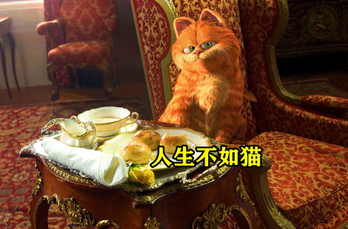 橘猫误入豪华城堡,被当成王子,过上让人羡慕的完美猫生 