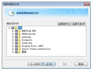 起点下载站 每日更新一键转帖论坛UBB代码 代码转换器 