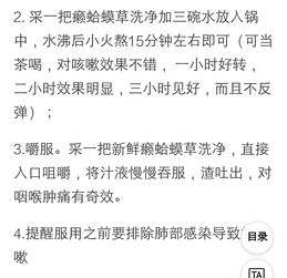 谁要是得了支气管炎不要再打针了,用农村这种野草2天就好 