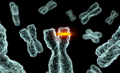 人类从哪里来 基因科学揭秘人类起源背后的真相