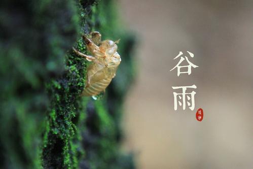 二十四节气 2020年谷雨日子怎么样 谷雨会下雨吗