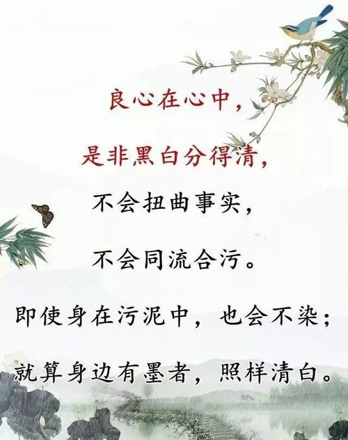 人,如果没有了良心 