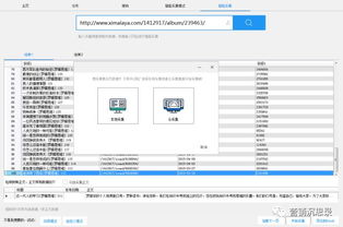 魅思cms系统文章采集软件